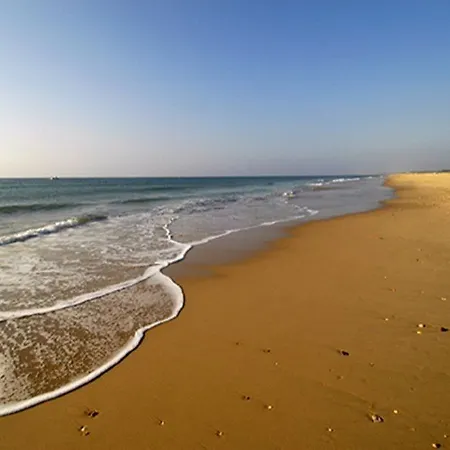Ozadi Ταβίρα