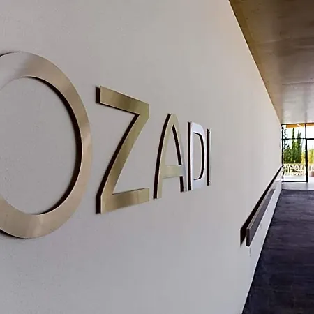 Ozadi