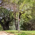 Ozadi 4*